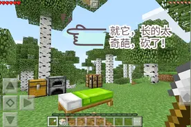 我的世界 奇葩的白桦树，要请光头强替呆呆砍树了！