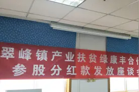 翠峰镇产业扶贫绿康丰合作社参股分红款发放座谈会视频封面