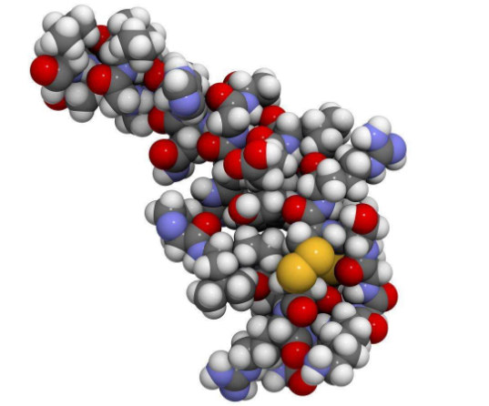 生命的左与右，能想出什么更好的方法来解释左与右的分别