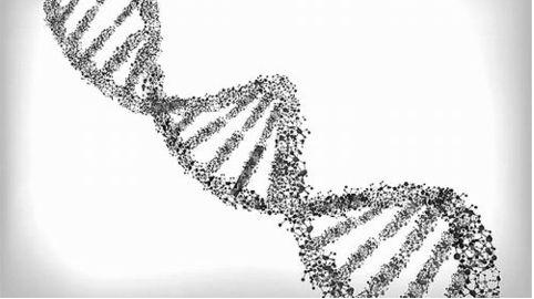 生命的左与右，能想出什么更好的方法来解释左与右的分别