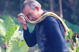 《我的父亲》收藏好，这首歌很经典，送给天下勤劳的父亲！视频封面