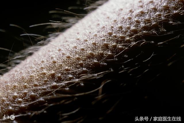 鸡皮疙瘩是缺什么