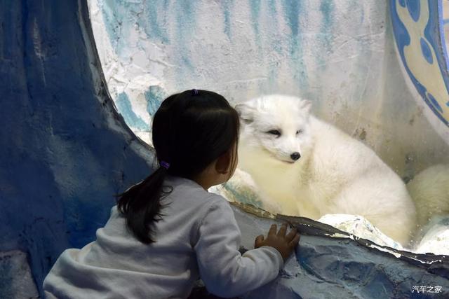 北京河豚先生卓展餐饮工程