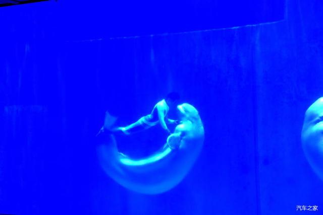 北京河豚先生卓展餐饮工程