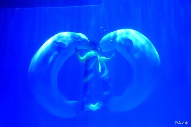 北京河豚先生卓展餐饮工程