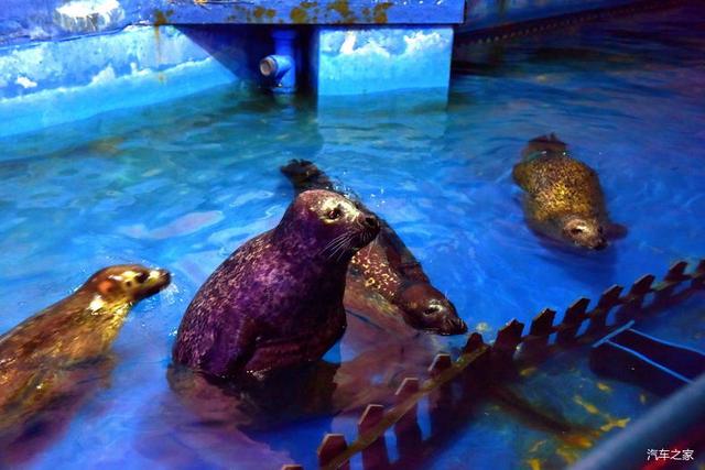 北京河豚先生卓展餐饮工程