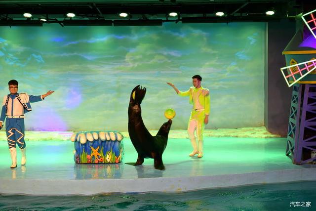 北京河豚先生卓展餐饮工程