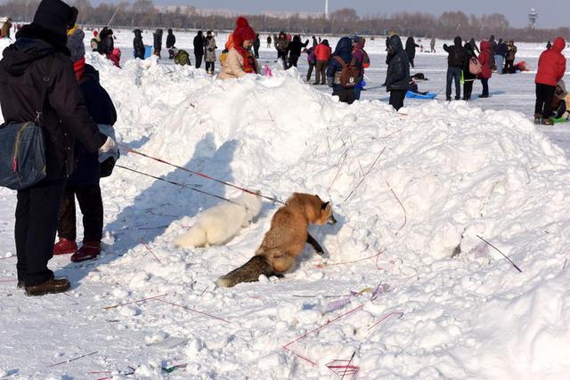 北京河豚先生卓展餐饮工程