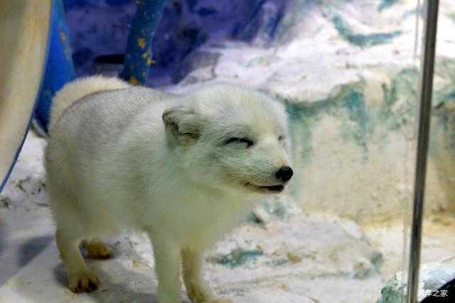 北京河豚先生卓展餐饮工程