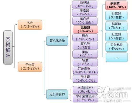 九龙营养课堂：白茶怎么选？富含高氨基酸？安吉和福鼎白茶区别？