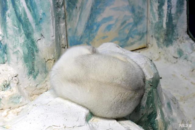 北京河豚先生卓展餐饮工程