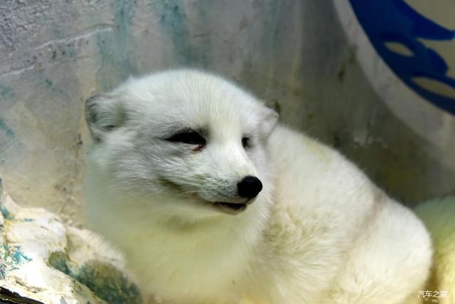 北京河豚先生卓展餐饮工程