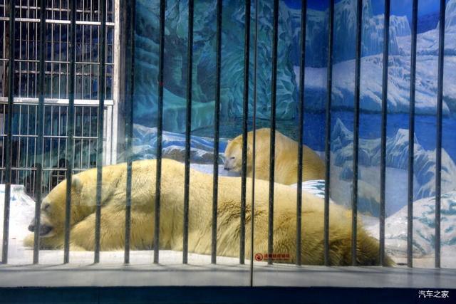 北京河豚先生卓展餐饮工程