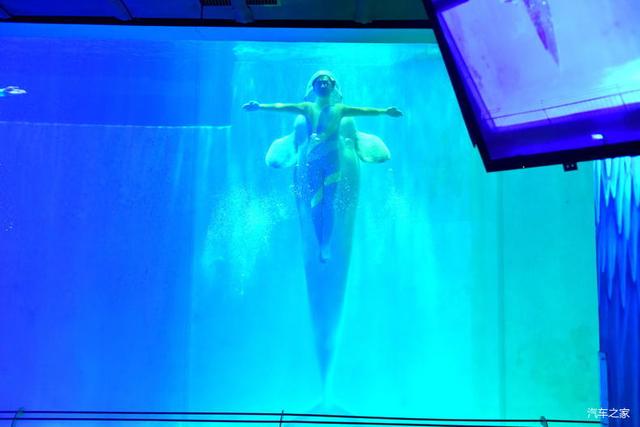 北京河豚先生卓展餐饮工程