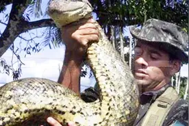 终极解密：蛇最多可以活多久？蛇真的是长生不老吗？看完就知道！视频封面