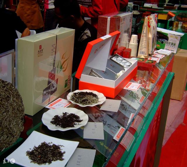 九龙营养课堂：白茶怎么选？富含高氨基酸？安吉和福鼎白茶区别？