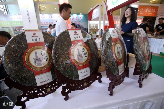 九龙营养课堂：白茶怎么选？富含高氨基酸？安吉和福鼎白茶区别？