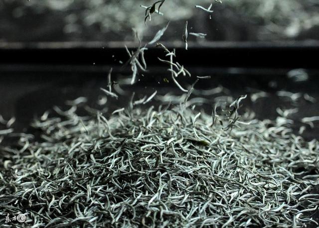 九龙营养课堂：白茶怎么选？富含高氨基酸？安吉和福鼎白茶区别？