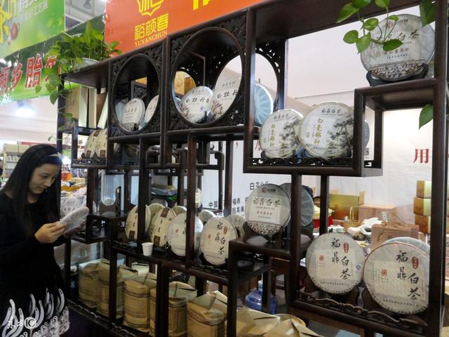 九龙营养课堂：白茶怎么选？富含高氨基酸？安吉和福鼎白茶区别？