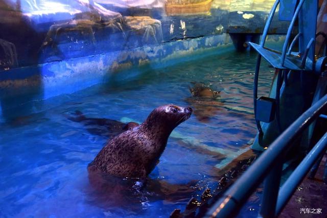 北京河豚先生卓展餐饮工程