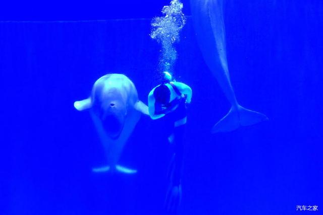 北京河豚先生卓展餐饮工程