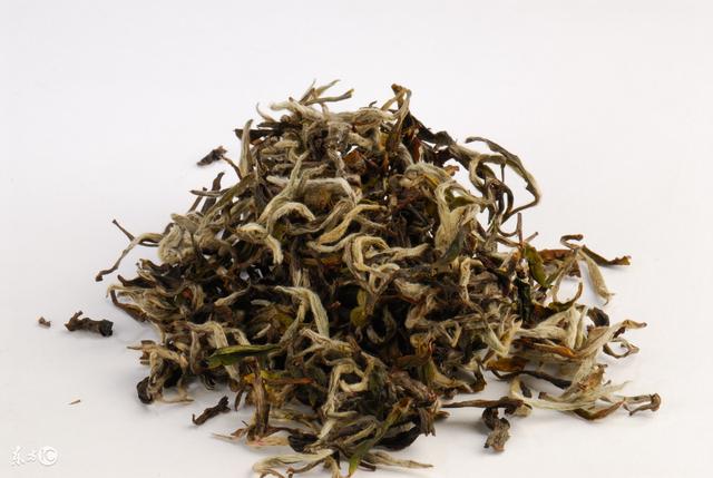 九龙营养课堂：白茶怎么选？富含高氨基酸？安吉和福鼎白茶区别？