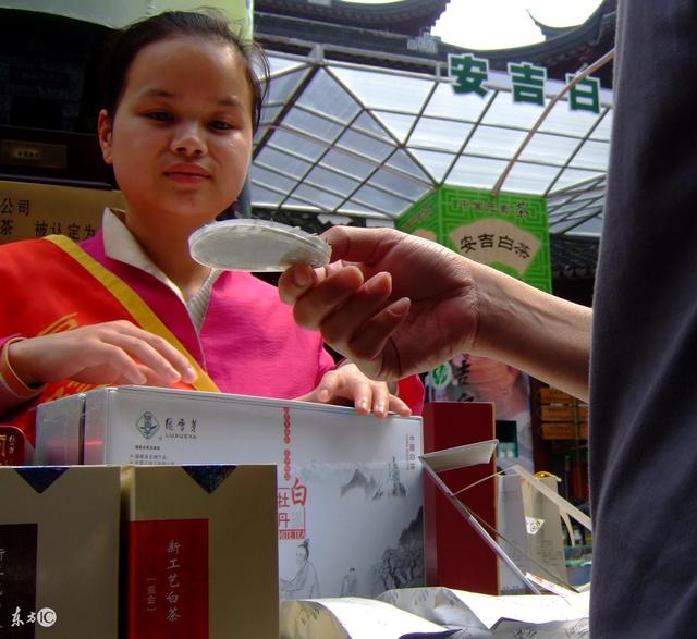 九龙营养课堂：白茶怎么选？富含高氨基酸？安吉和福鼎白茶区别？