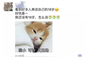 葬爱家族的年会什么样？刷刷朋友圈就知道了……图片