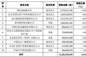北京银行完成206亿元定增，新华联控股被稀释为第四大股东图片