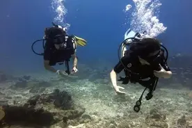 潜水到底有多危险？图片