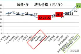 各地南美白对虾、罗非鱼塘口价及简析图片