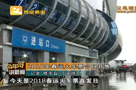 2018年春运火车票1月3日开售图片