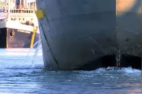 IMO/USCG型式认可≠万能通行证 船东，你的BWMS功课做足了吗？图片