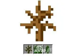 我的世界草丛怎么获取 草丛作用分享图片