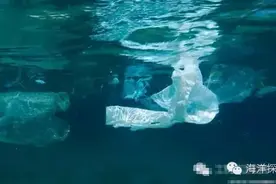 海洋科技|澳洲两位帅小伙发明海洋垃圾桶图片