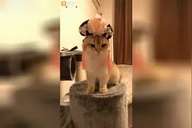 离家出走的步骤告诉我