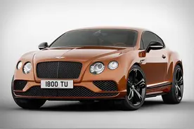 这款车是该豪华品牌旗下速度最快的双门轿跑图片