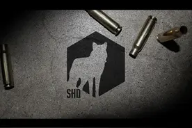 孤狼游戏评测 你是一匹来自暗杀界的狼图片