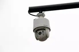 在东海开车不小心就违停了！图片