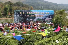 万人冰岛自由采，漫山春茶飘清香图片
