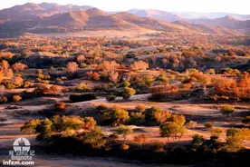 经过北方十字路口的蒸汽火车图片