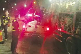 300多斤的肥猪跳车"逃亡" 在云阳山隧道内四处乱窜图片