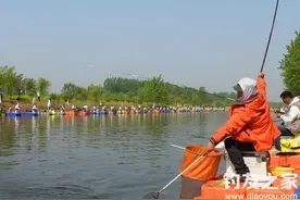 黑坑钓鲫鱼、鲤鱼的装备选择技巧图片