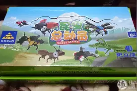 不务正业的老人抢小孩玩具啦：KAZI 昆虫总动员拼装玩具图片