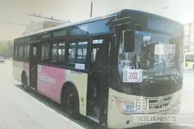 哈市202路公交车一司机遇临检被查出无证驾驶图片