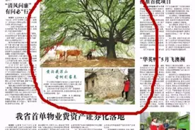 关注禹州黄沟是要火的节奏！被新华网、河南日报纷纷关注报道！图片