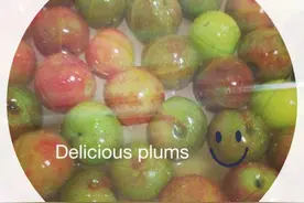 酸甜腌李子图片