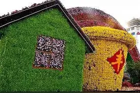 国医·养生《黄帝内经》之脾在五行属土图片