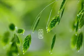 谷雨 | 4月赏花末班车，你赶上中山这些美景了吗？图片