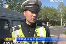 德州：遇见民警检查就逃跑 面包车到底有啥猫腻图片
